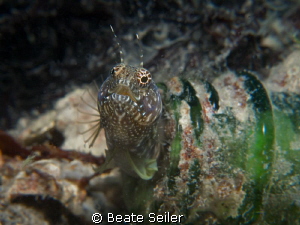 Living in a bottle No.2 , taken under BHB . by Beate Seiler 